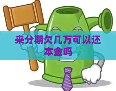 来分期欠几万可以还本金吗