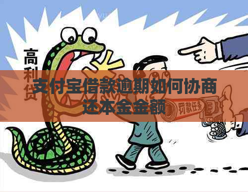 支付宝借款逾期如何协商还本金金额