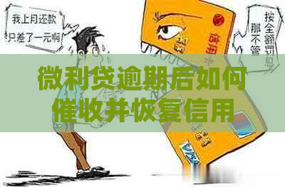 微利贷逾期后如何并恢复信用 微利贷逾期后如何并恢复信用