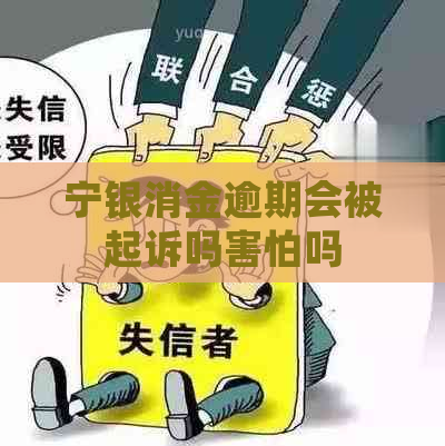 宁银消金逾期会被起诉吗害怕吗