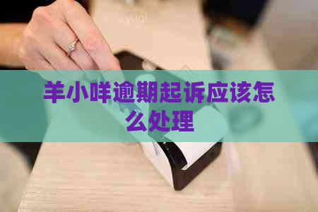 羊小咩逾期起诉应该怎么处理