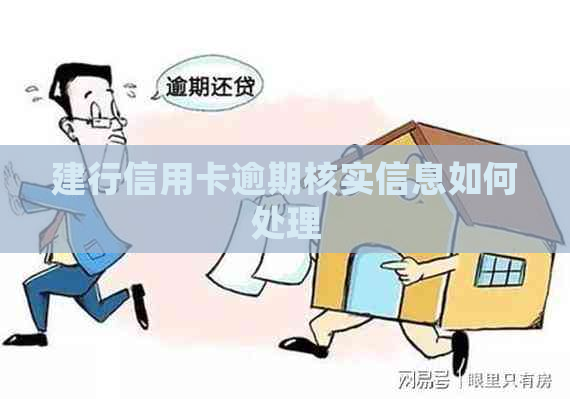 建行信用卡逾期核实信息如何处理