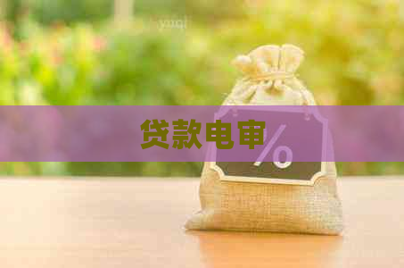 贷款电审