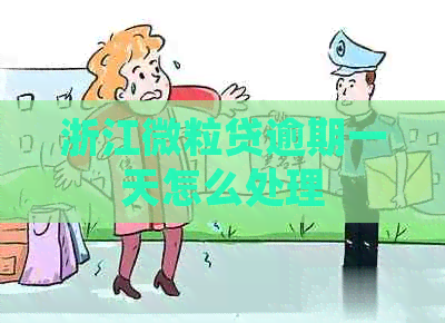 浙江微粒贷逾期一天怎么处理