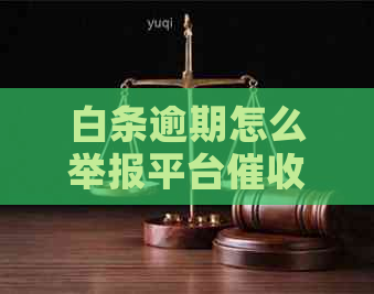 白条逾期怎么举报平台有效果
