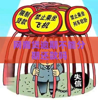 白条贷逾期不能分期还款吗
