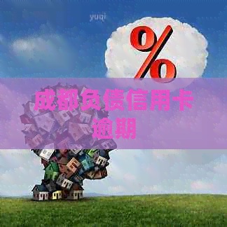 成都负债信用卡逾期