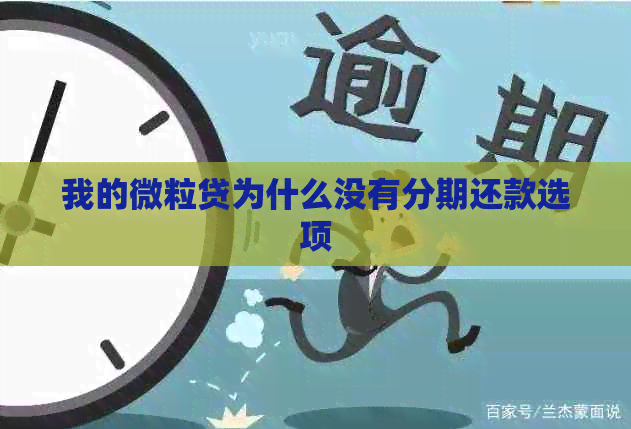 我的微粒贷为什么没有分期还款选项