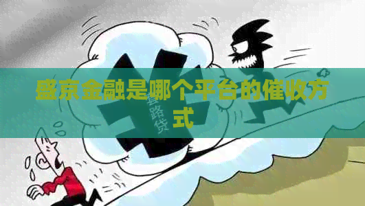 盛京金融是哪个平台的方式