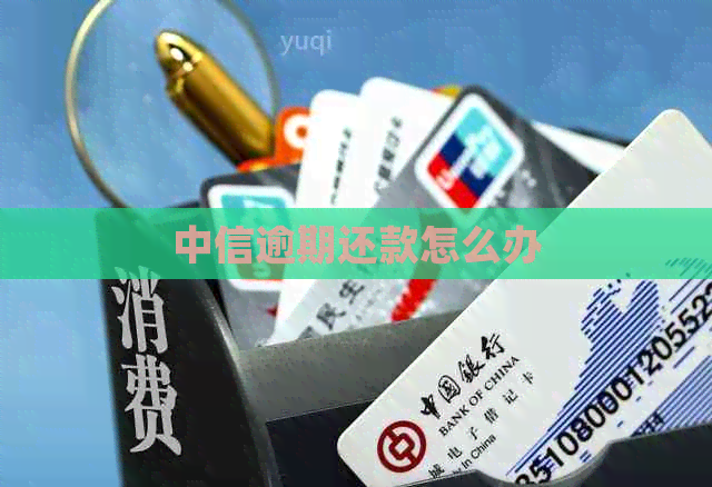 中信逾期还款怎么办