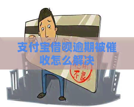信用卡信用卡逾期被怎么解决