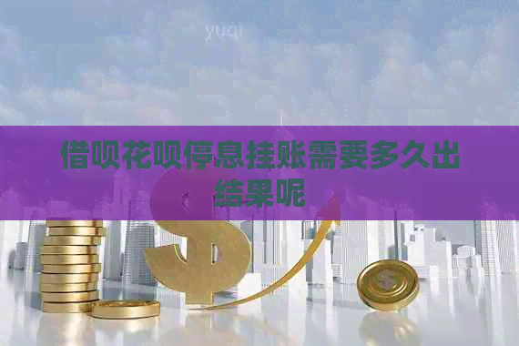 信用卡白条停息挂账需要多久出结果呢