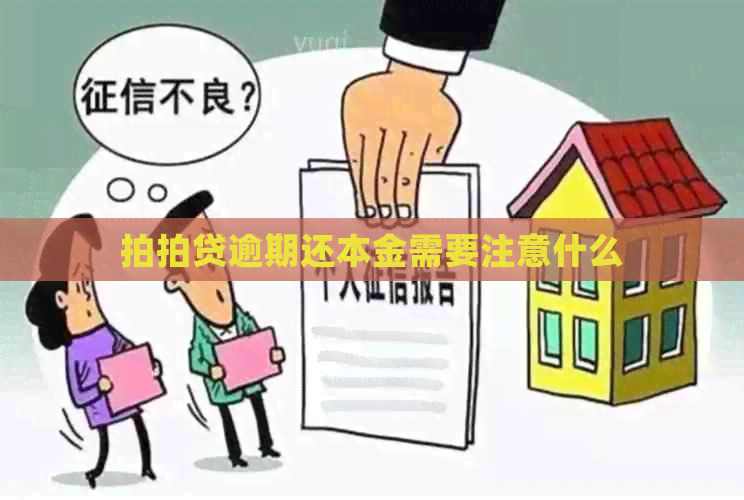 逾期还本金需要注意什么
