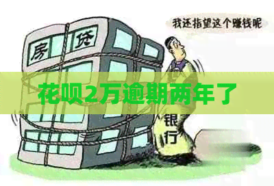 白条2万逾期两年了