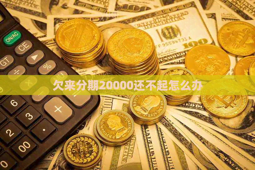 欠来分期20000还不起怎么办