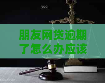 朋友网贷逾期了怎么办应该怎么处理