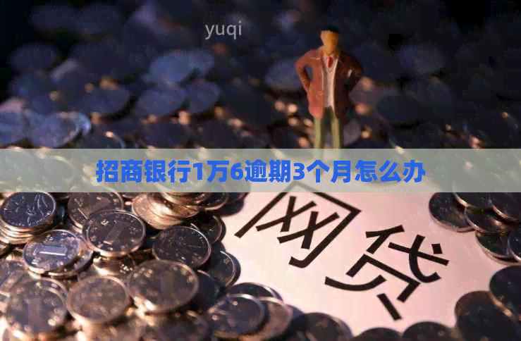 招商银行1万6逾期3个月怎么办