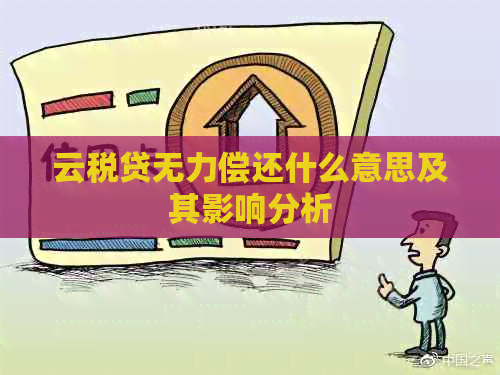 云税贷无力偿还什么意思及其影响分析