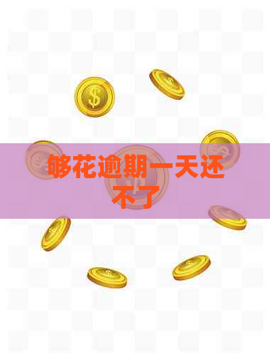 够花逾期一天还不了