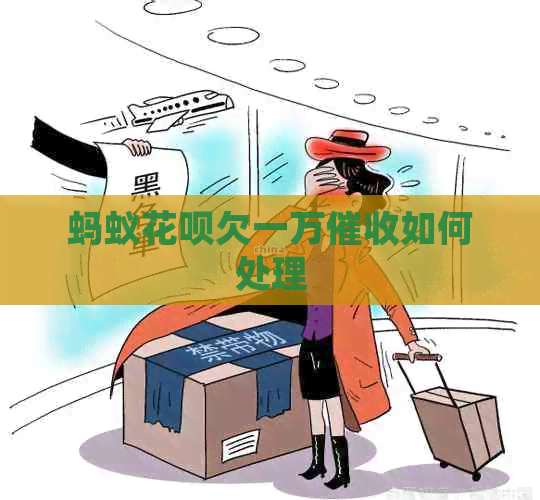 蚂蚁白条欠一万如何处理