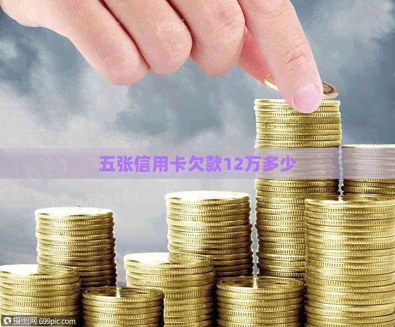 五张信用卡欠款12万多少