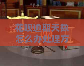 白条逾期天数怎么办处理方法