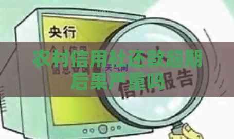 农村信用社还款超期后果严重吗