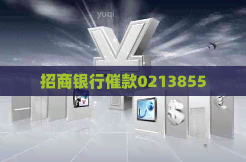 招商银行催款0213855