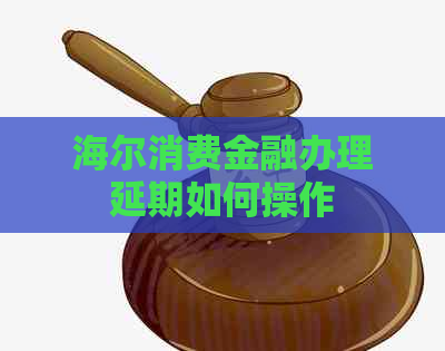 海尔消费金融办理延期如何操作