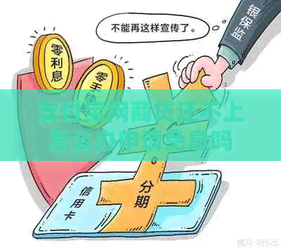 信用卡白条贷还不上怎么办申请免息吗