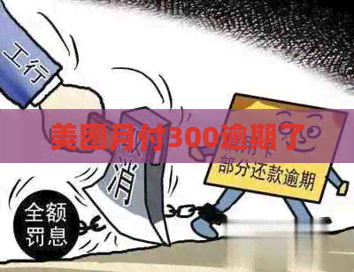 美团月付300逾期了