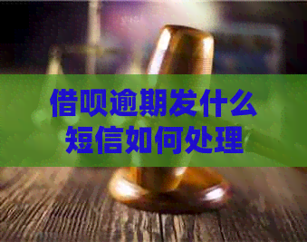信用卡逾期发什么短信如何处理