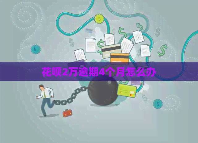 白条2万逾期4个月怎么办