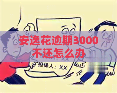 安逸花逾期3000不还怎么办