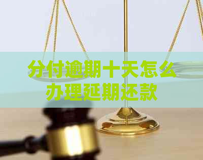 分付逾期十天怎么办理延期还款