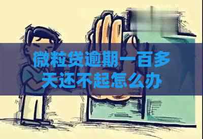 微粒贷逾期一百多天还不起怎么办
