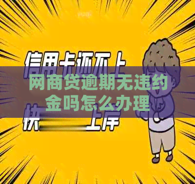白条贷逾期无违约金吗怎么办理