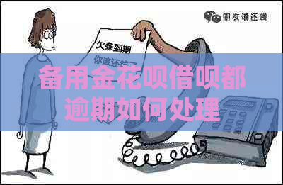 备用金白条信用卡都逾期如何处理