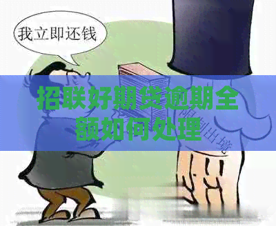 招联好期贷逾期全额如何处理