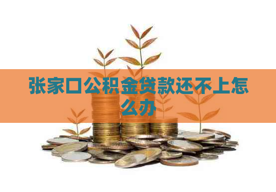 张家口公积金贷款还不上怎么办