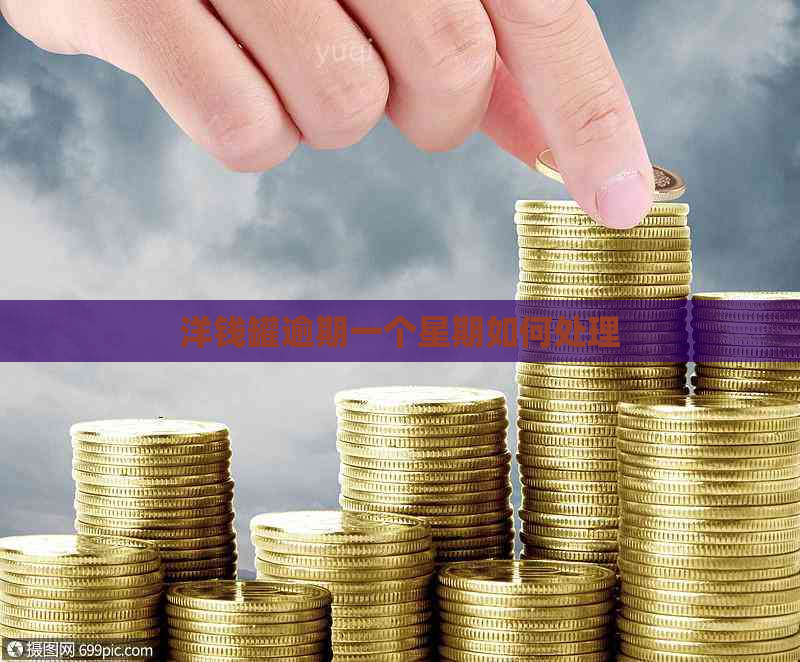 洋钱罐逾期一个星期如何处理 洋钱罐逾期一个星期如何处理