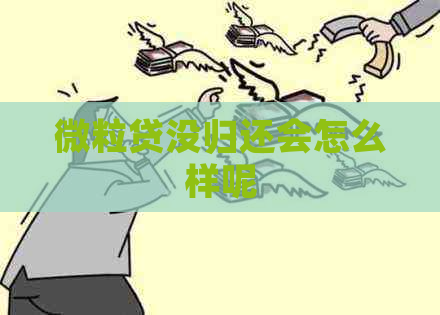 微粒贷没归还会怎么样呢