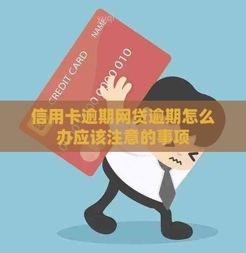 信用卡逾期网贷逾期怎么办应该注意的事项
