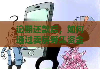 逾期还款后，如何通过卖房筹集资金偿还信用卡债务并购买所需物品？