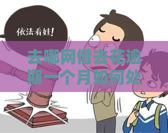 去哪网借去花逾期一个月如何处理