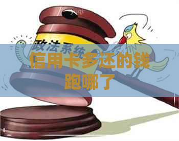 信用卡多还的钱跑哪了