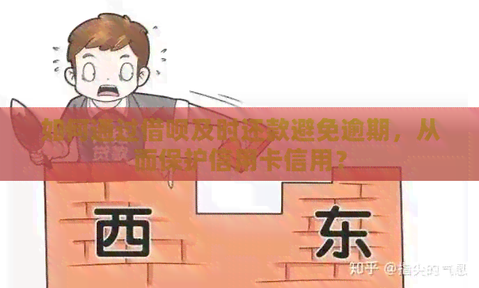 如何通过网贷及时还款避免逾期，从而保护信用卡信用？