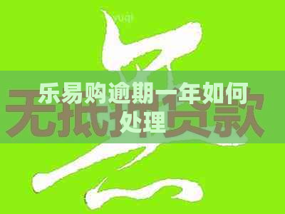 乐易购逾期一年如何处理
