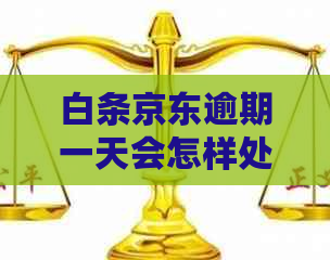 白条京东逾期一天会怎样处理