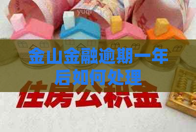 金山金融逾期一年后如何处理